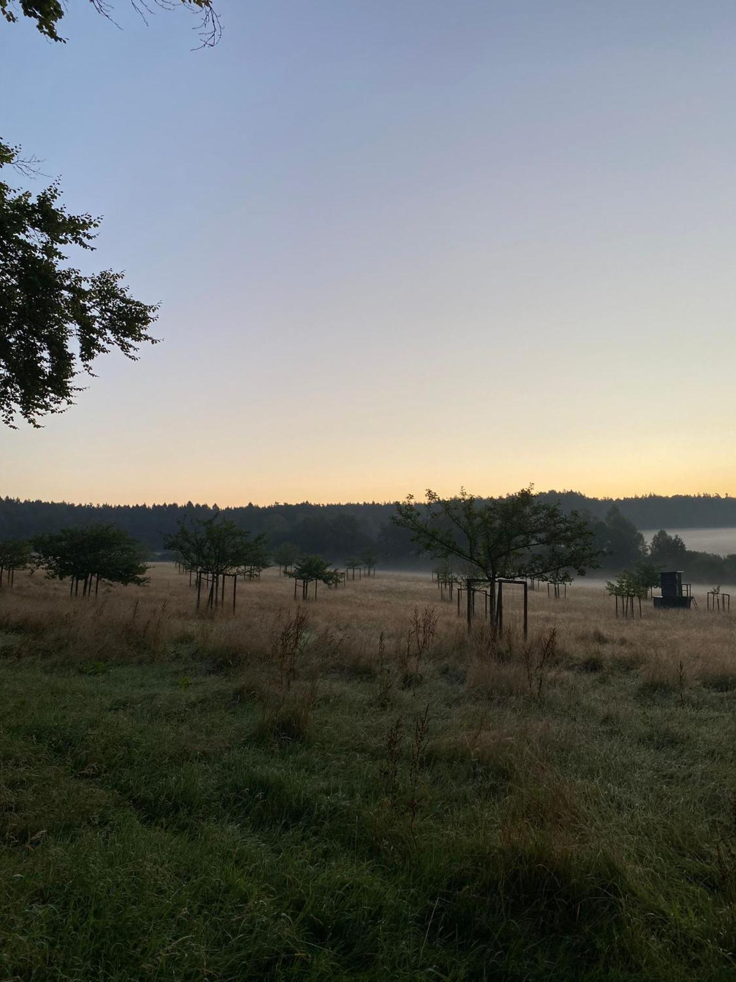 Ferienhaus Vulkaneifel Abtei Himmerod Großlittgen エクステリア 写真