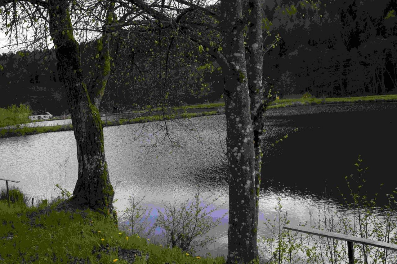 Ferienhaus Vulkaneifel Abtei Himmerod Großlittgen エクステリア 写真