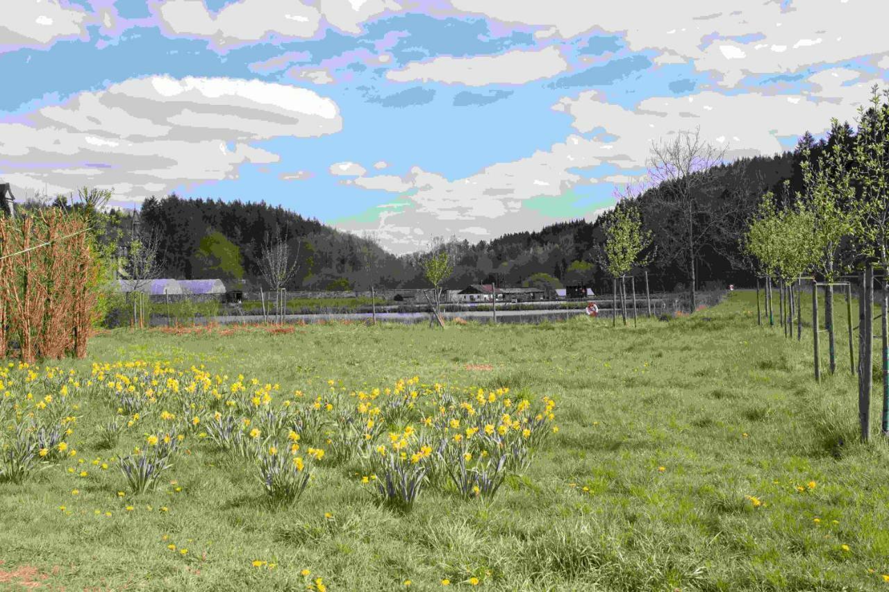 Ferienhaus Vulkaneifel Abtei Himmerod Großlittgen エクステリア 写真