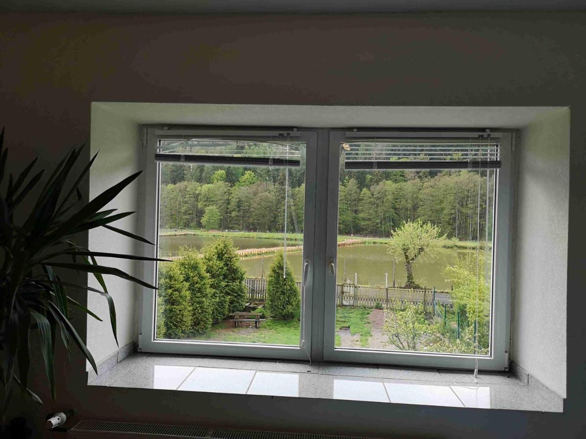 Ferienhaus Vulkaneifel Abtei Himmerod Großlittgen エクステリア 写真